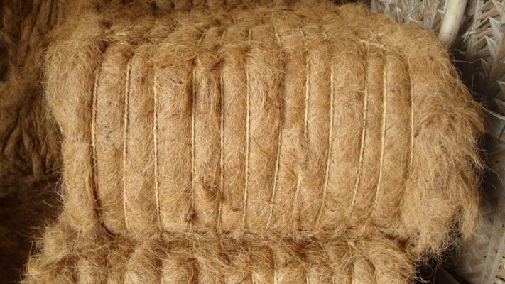 coconut fiber for export